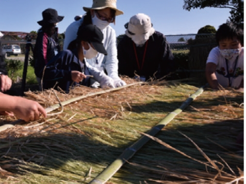 写真：自然素材（ワラ）を使ったツルの保護柵設置